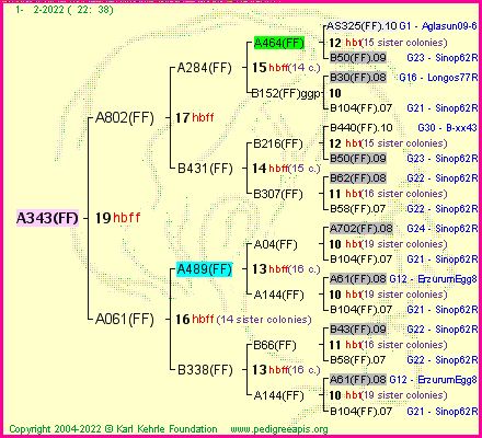 Pedigree of A343(FF) :
four generations presented
it's temporarily unavailable, sorry!