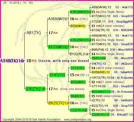 Pedigree of A348(TK)1dr :
four generations presented<br />it's temporarily unavailable, sorry!