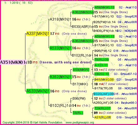 Pedigree of A351(MKN)1dr :
four generations presented<br />it's temporarily unavailable, sorry!