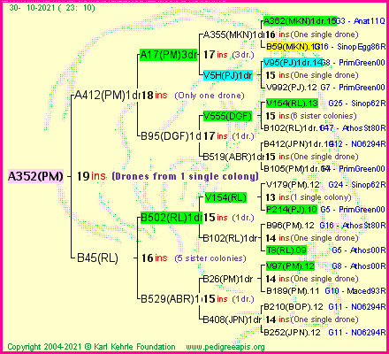 Pedigree of A352(PM) :
four generations presented
it's temporarily unavailable, sorry!