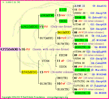 Pedigree of A355(MKN)1dr :
four generations presented<br />it's temporarily unavailable, sorry!