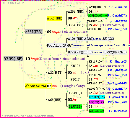 Pedigree of A359(JBB) :
four generations presented