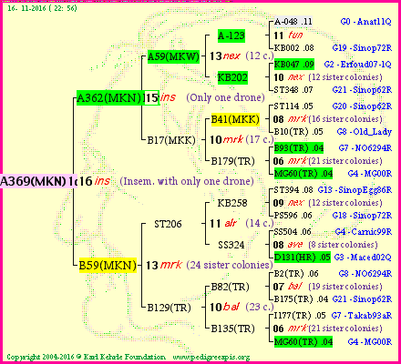 Pedigree of A369(MKN)1dr :
four generations presented<br />it's temporarily unavailable, sorry!