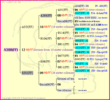 Pedigree of A388(FF) :
four generations presented