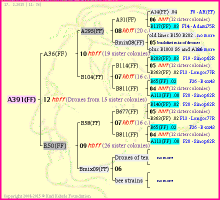 Pedigree of A391(FF) :
four generations presented