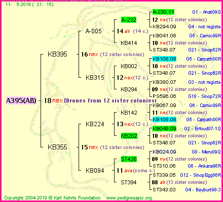 Pedigree of A395(AB) :
four generations presented<br />it's temporarily unavailable, sorry!