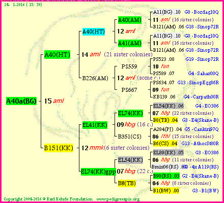 Pedigree of A40a(BG) :
four generations presented<br />it's temporarily unavailable, sorry!