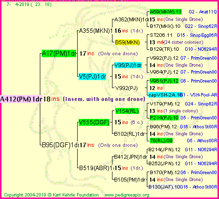 Pedigree of A412(PM)1dr :
four generations presented
it's temporarily unavailable, sorry!