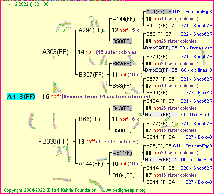 Pedigree of A413(FF) :
four generations presented
it's temporarily unavailable, sorry!