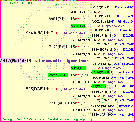 Pedigree of A417(PM)1dr :
four generations presented<br />it's temporarily unavailable, sorry!