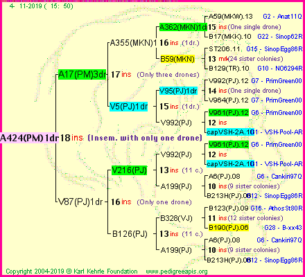 Pedigree of A424(PM)1dr :
four generations presented<br />it's temporarily unavailable, sorry!