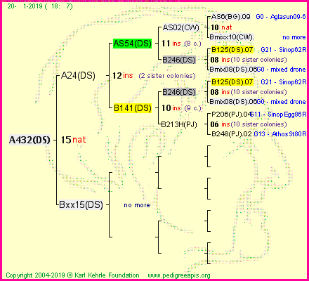 Pedigree of A432(DS) :
four generations presented<br />it's temporarily unavailable, sorry!