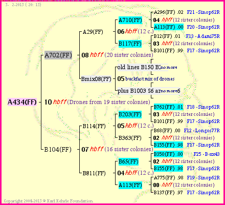 Pedigree of A434(FF) :
four generations presented