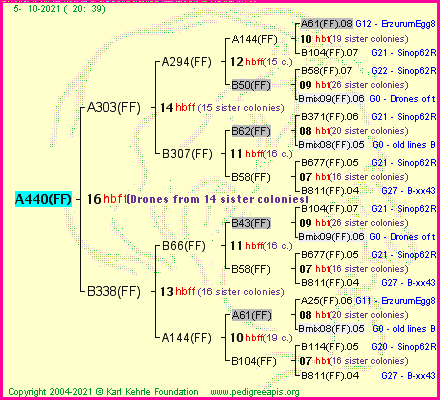 Pedigree of A440(FF) :
four generations presented
it's temporarily unavailable, sorry!