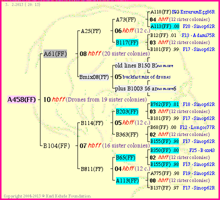 Pedigree of A458(FF) :
four generations presented