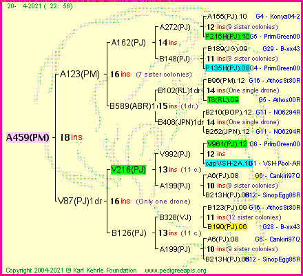 Pedigree of A459(PM) :
four generations presented
it's temporarily unavailable, sorry!