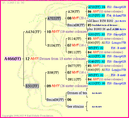 Pedigree of A466(FF) :
four generations presented