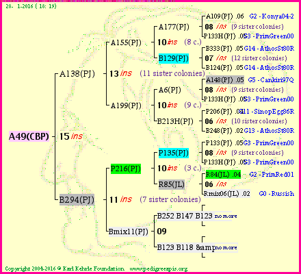 Pedigree of A49(CBP) :
four generations presented<br />it's temporarily unavailable, sorry!