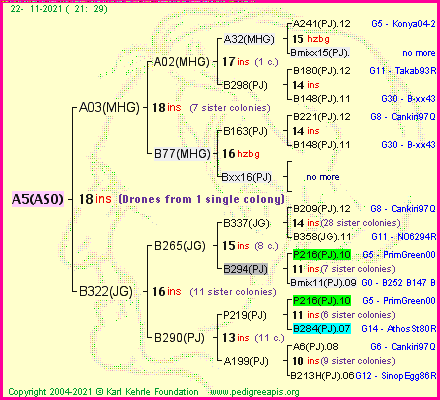 Pedigree of A5(ASO) :
four generations presented
it's temporarily unavailable, sorry!