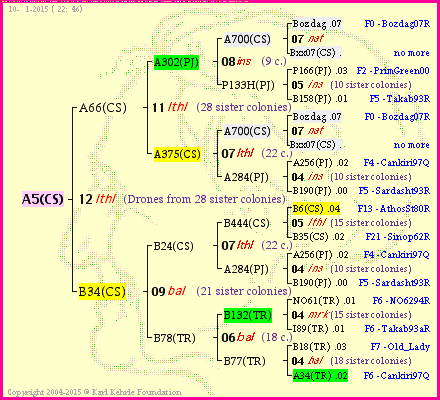 Pedigree of A5(CS) :
four generations presented<br />it's temporarily unavailable, sorry!