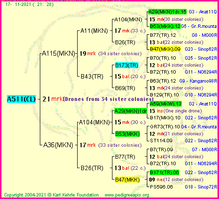 Pedigree of A511(CL) :
four generations presented
it's temporarily unavailable, sorry!