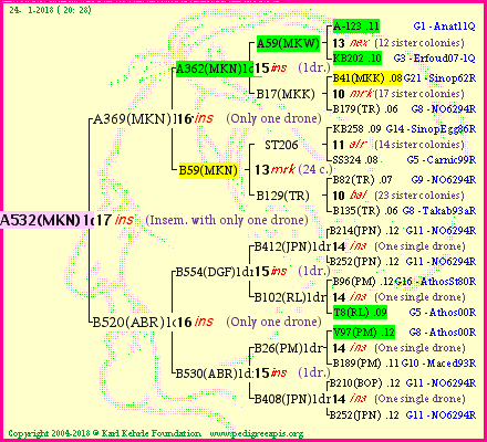 Pedigree of A532(MKN)1dr :
four generations presented<br />it's temporarily unavailable, sorry!