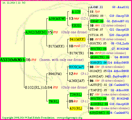 Pedigree of A533(MKN)1dr :
four generations presented<br />it's temporarily unavailable, sorry!