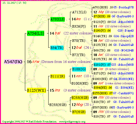 Pedigree of A547(TK) :
four generations presented<br />it's temporarily unavailable, sorry!