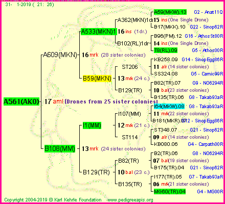 Pedigree of A561(AKO) :
four generations presented<br />it's temporarily unavailable, sorry!