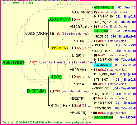 Pedigree of A561(VKO) :
four generations presented<br />it's temporarily unavailable, sorry!