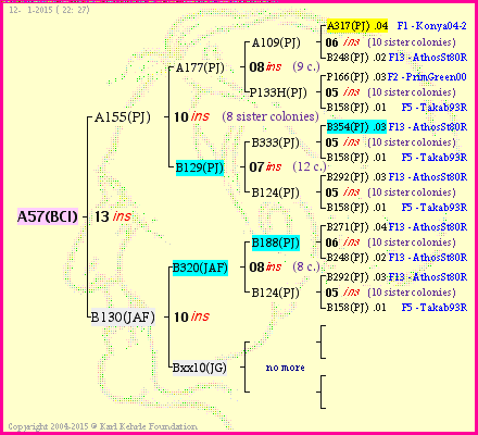 Pedigree of A57(BCI) :
four generations presented