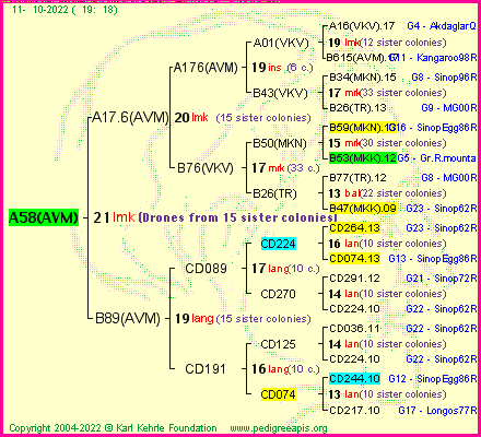 Pedigree of A58(AVM) :
four generations presented
it's temporarily unavailable, sorry!