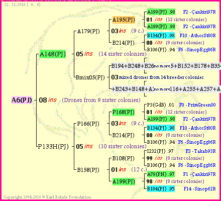 Pedigree of A6(PJ) :
four generations presented