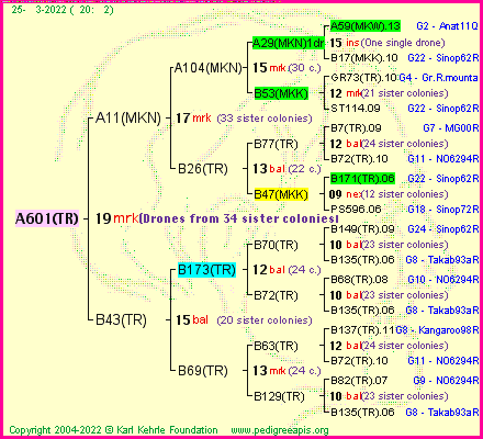 Pedigree of A601(TR) :
four generations presented
it's temporarily unavailable, sorry!