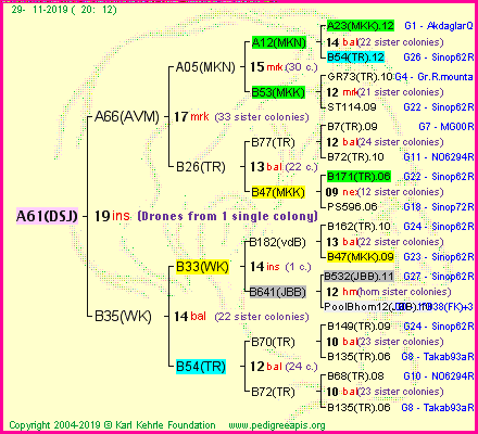 Pedigree of A61(DSJ) :
four generations presented
it's temporarily unavailable, sorry!