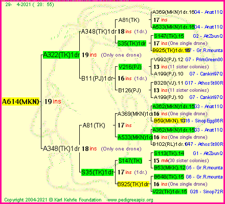 Pedigree of A614(MKN) :
four generations presented
it's temporarily unavailable, sorry!