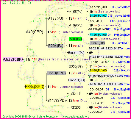 Pedigree of A632(CBP) :
four generations presented<br />it's temporarily unavailable, sorry!