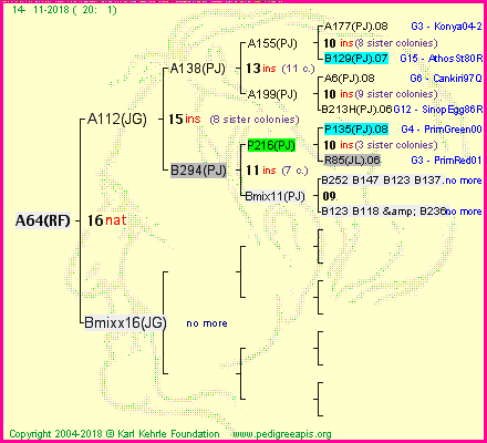 Pedigree of A64(RF) :
four generations presented<br />it's temporarily unavailable, sorry!