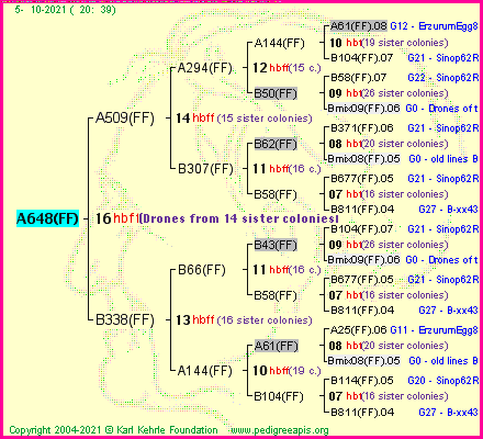 Pedigree of A648(FF) :
four generations presented
it's temporarily unavailable, sorry!