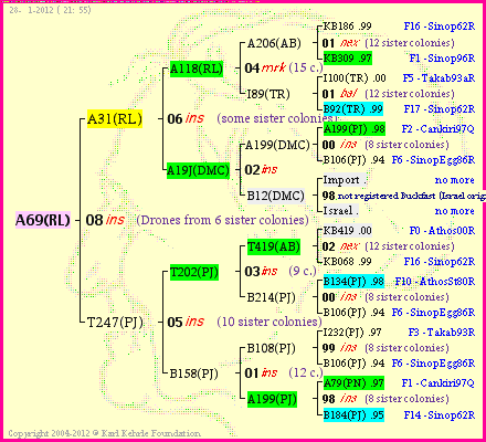 Pedigree of A69(RL) :
four generations presented