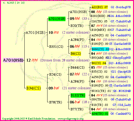 Pedigree of A701(HSB) :
four generations presented
it's temporarily unavailable, sorry!