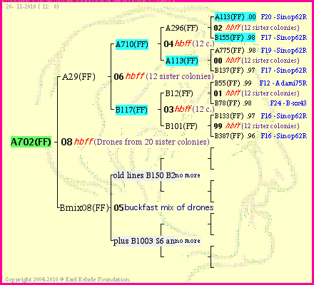 Pedigree of A702(FF) :
four generations presented