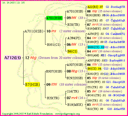 Pedigree of A712(LS) :
four generations presented