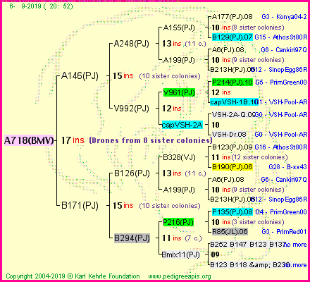 Pedigree of A718(BMV) :
four generations presented<br />it's temporarily unavailable, sorry!