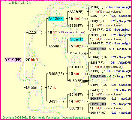 Pedigree of A719(FF) :
four generations presented
it's temporarily unavailable, sorry!