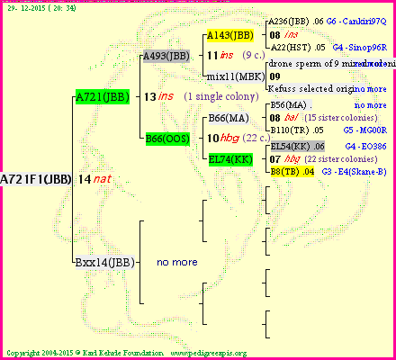 Pedigree of A721F1(JBB) :
four generations presented