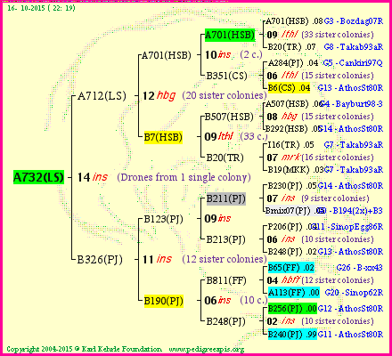 Pedigree of A732(LS) :
four generations presented<br />it's temporarily unavailable, sorry!