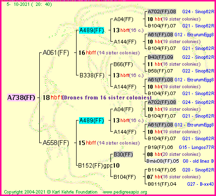 Pedigree of A738(FF) :
four generations presented
it's temporarily unavailable, sorry!