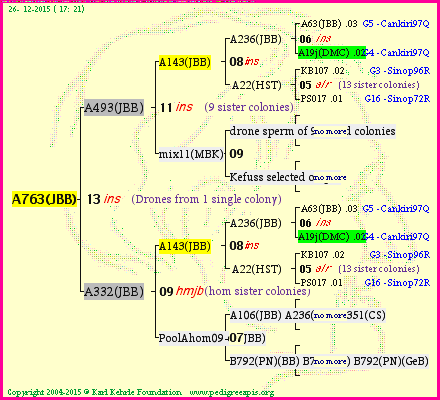 Pedigree of A763(JBB) :
four generations presented