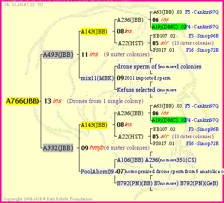 Pedigree of A766(JBB) :
four generations presented